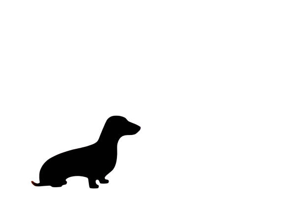612x408 Dachshund Silhouette Vector