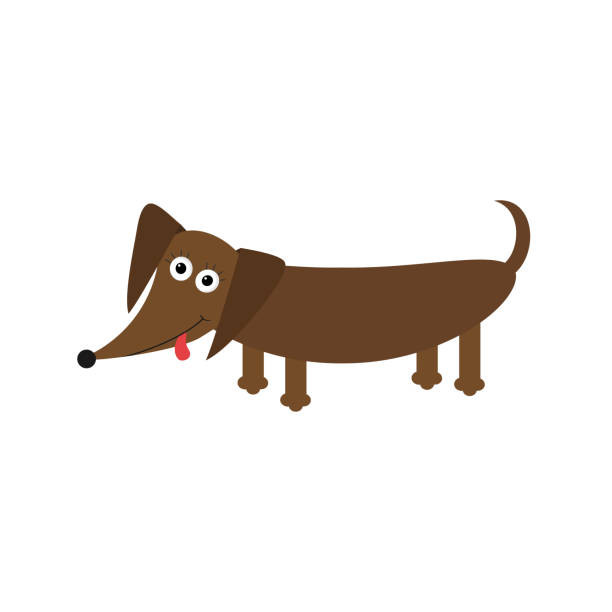 612x612 Dachshund Clipart Vector For Free Download And Use Images