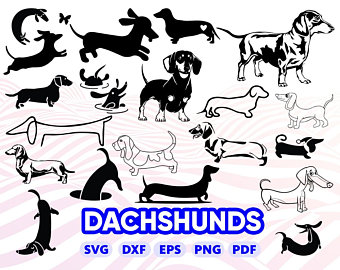 340x270 Dachshund Etsy