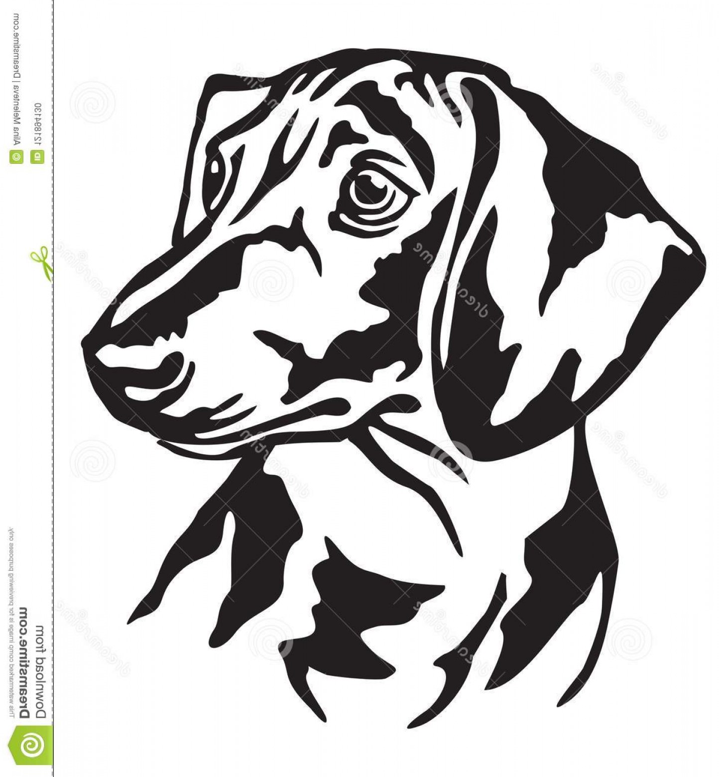 1444x1560 Decorative Portrait Dog Dachshund Vector Illustration Decorative