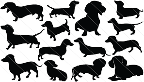 Dachshund Vector Art at Vectorified.com | Collection of Dachshund ...