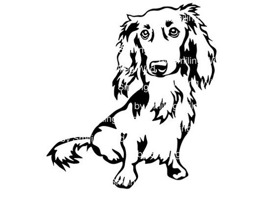 570x403 Long Haired Dachshund Dog Clipart Vector Graphic Art Etsy