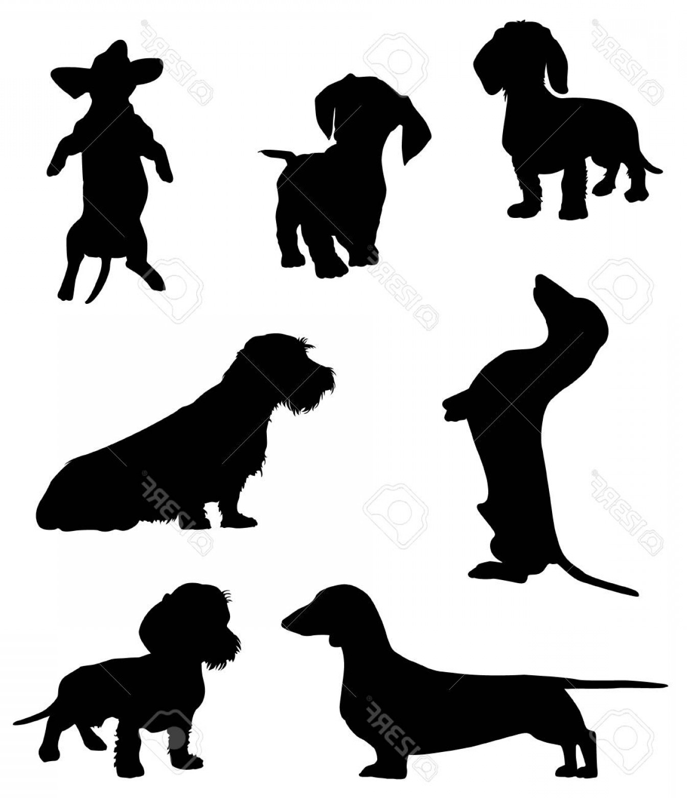 1344x1560 Photostock Vector Silhouettes Of Dachshunds Vector Illustration