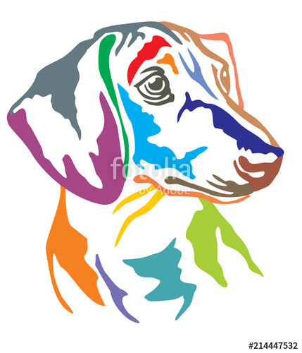 429x500 Colorful Decorative Portrait Of Dog Dachshund Vector Illustration