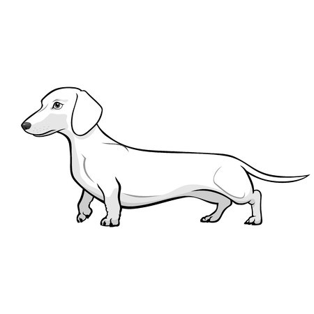 Dachshund Vector Art at Vectorified.com | Collection of Dachshund ...