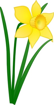 189x368 Daffodil Free Vector Download