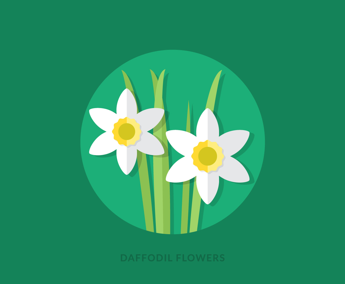 1136x936 Flat Daffodil Flowers Vector Art Graphics