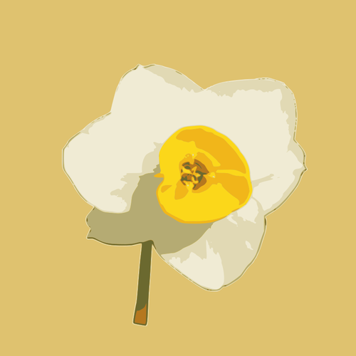 500x500 Single Daffodil Vector Image