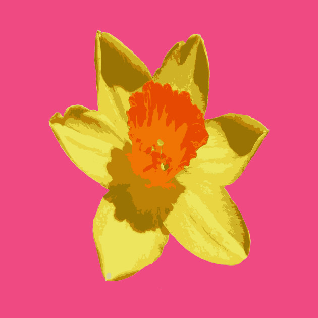630x630 Spring Daffodil Vector Isolated