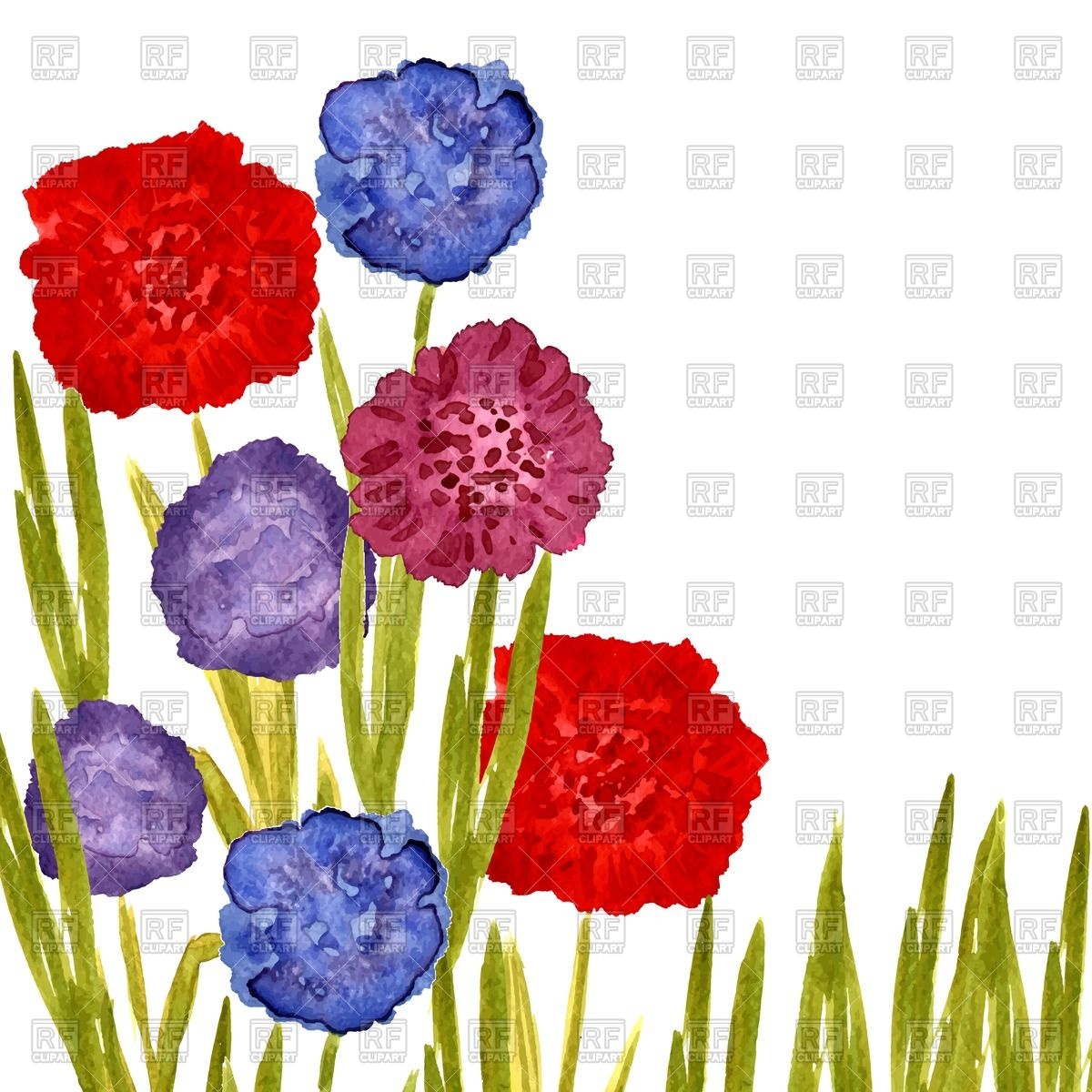 1200x1200 Frame With Watercolor Painted Blooming Dahlia Flowers Vector Image