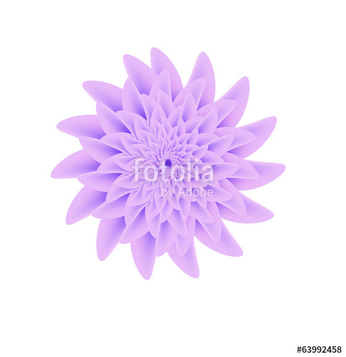 484x500 Vector Dahlia Flower Stock Image And Royalty Free Vector