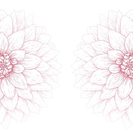 450x450 Vector Dahlia Flower Isolated On White Background Royalty Free