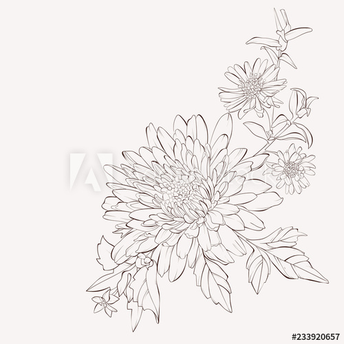 500x500 Vector Dahlia Flower Autumn Flowers Bouquet Element For Design