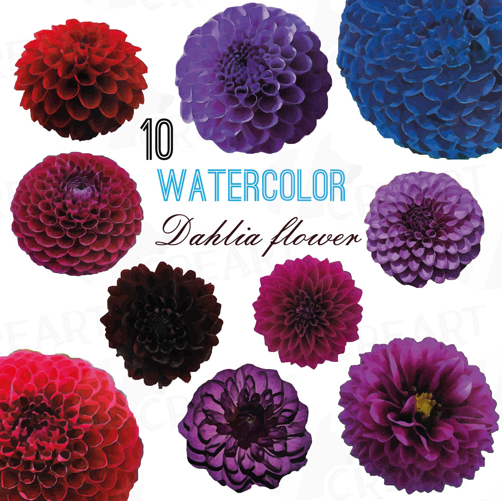 1668x1667 Watercolor Dahlia Flower Clip Art Pack, Watercolor Purple Dahlia