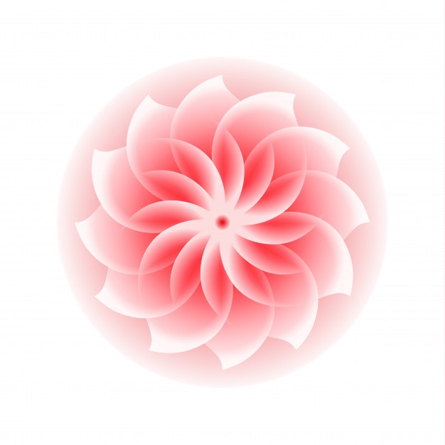 626x626 Dahlia Vectors, Photos And Free Download