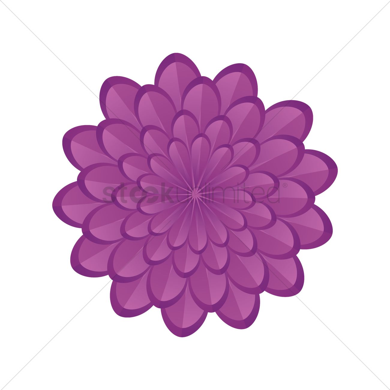 1300x1300 Dahlia Vector Image