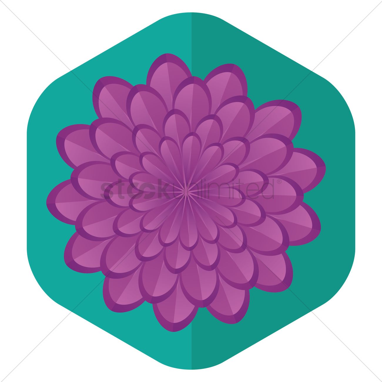 1300x1300 Dahlia Vector Image