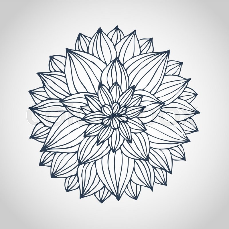 800x800 Dahlia Flower Vector Stock Vector Colourbox