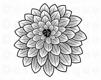 340x270 Dahlia Vector Etsy