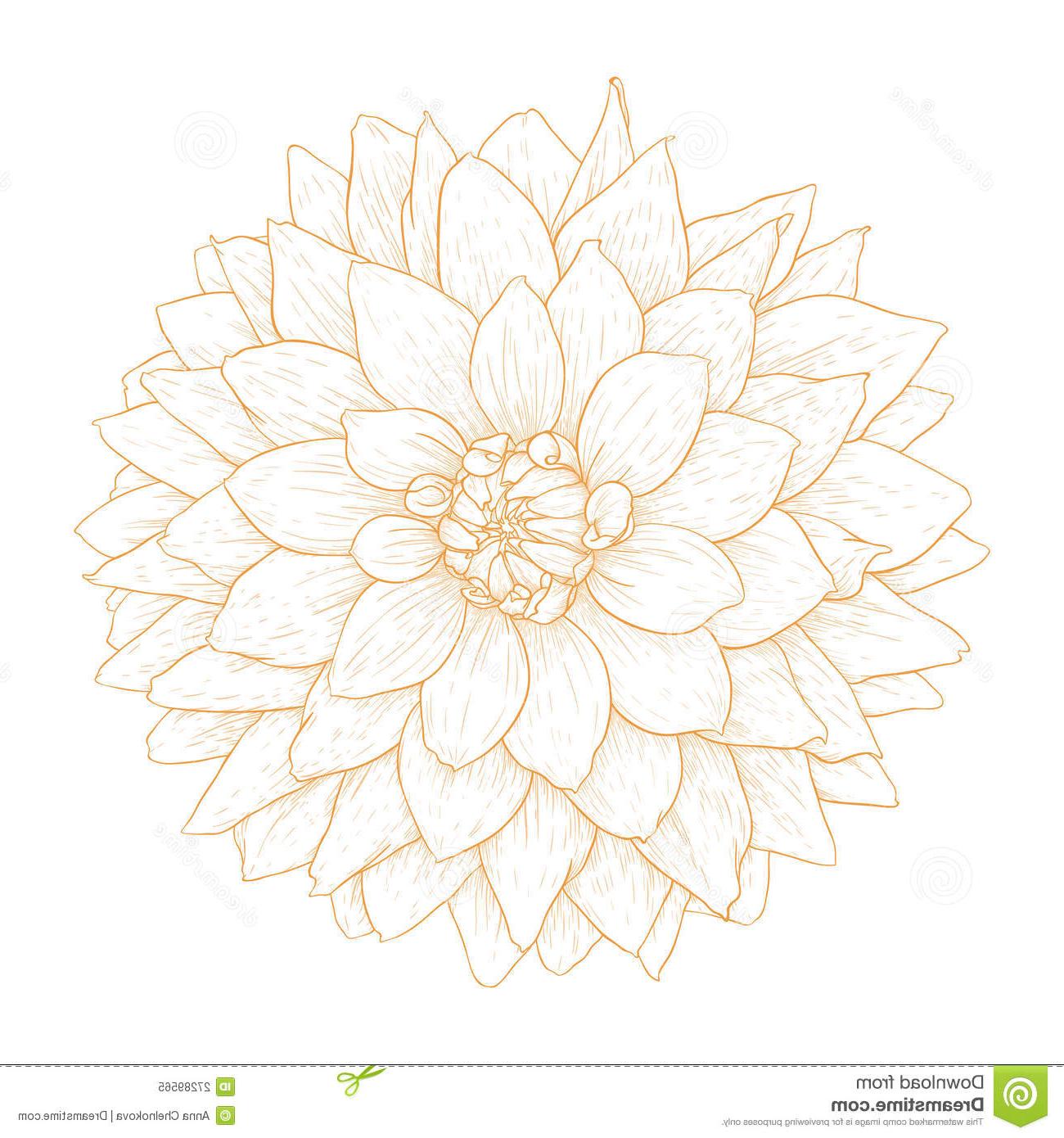 1300x1390 Best Dahlia Vector Photos Free Vector Art, Images, Graphics