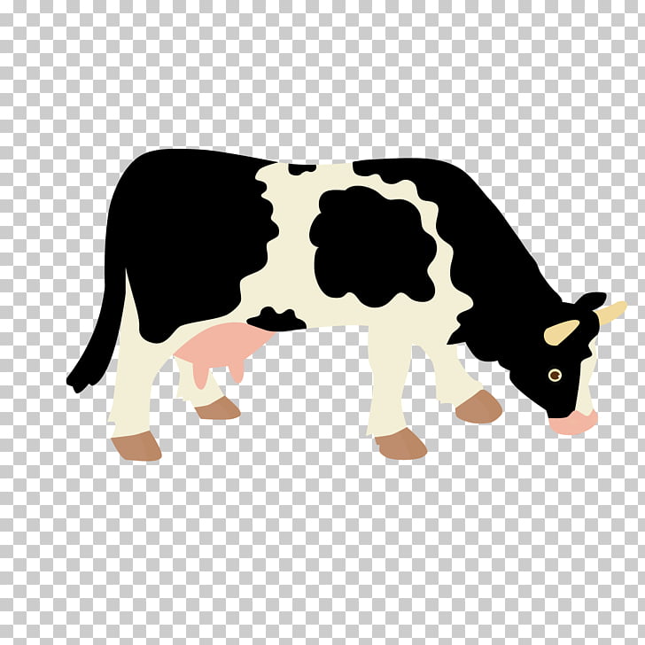 728x728 Holstein Friesian Cattle Beef Cattle Dairy Cattle, Cow Cow Png