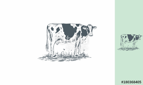 500x300 Dairy Cows, Cows, Farms, Dutch, Milk, Livestock, Emblem Symbol