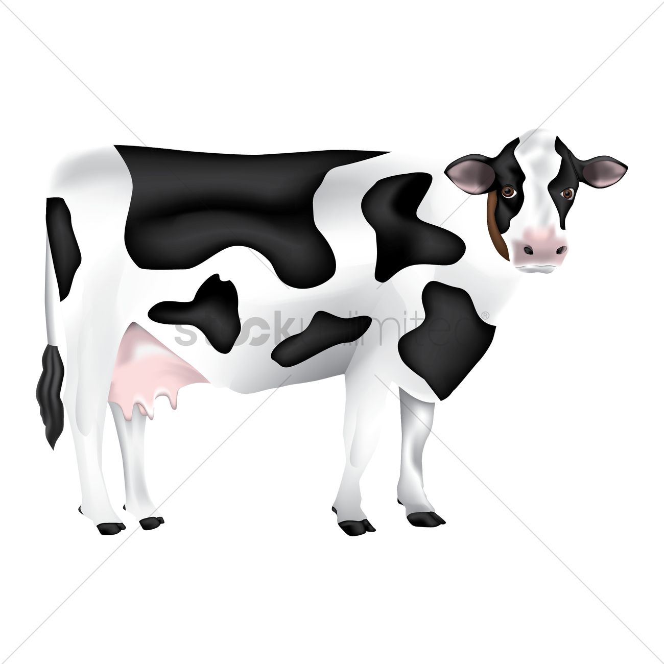 1300x1300 Cow Vector Image