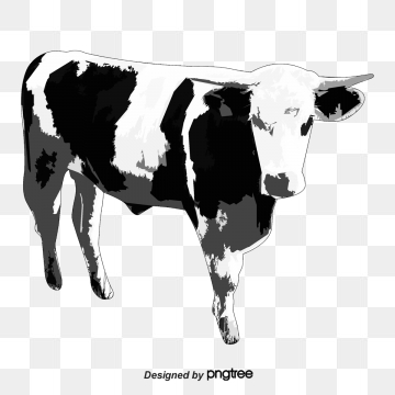 360x360 Cow Vector Png, Vector, And Clipart With Transparent