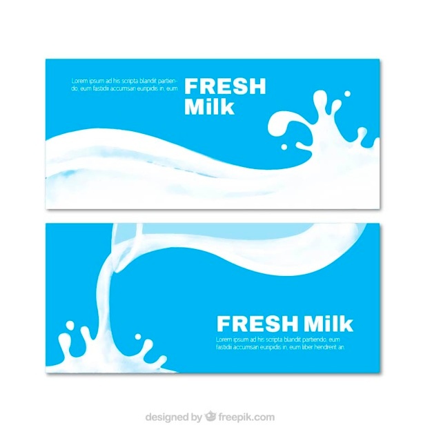 626x626 Dairy Vectors, Photos And Free Download