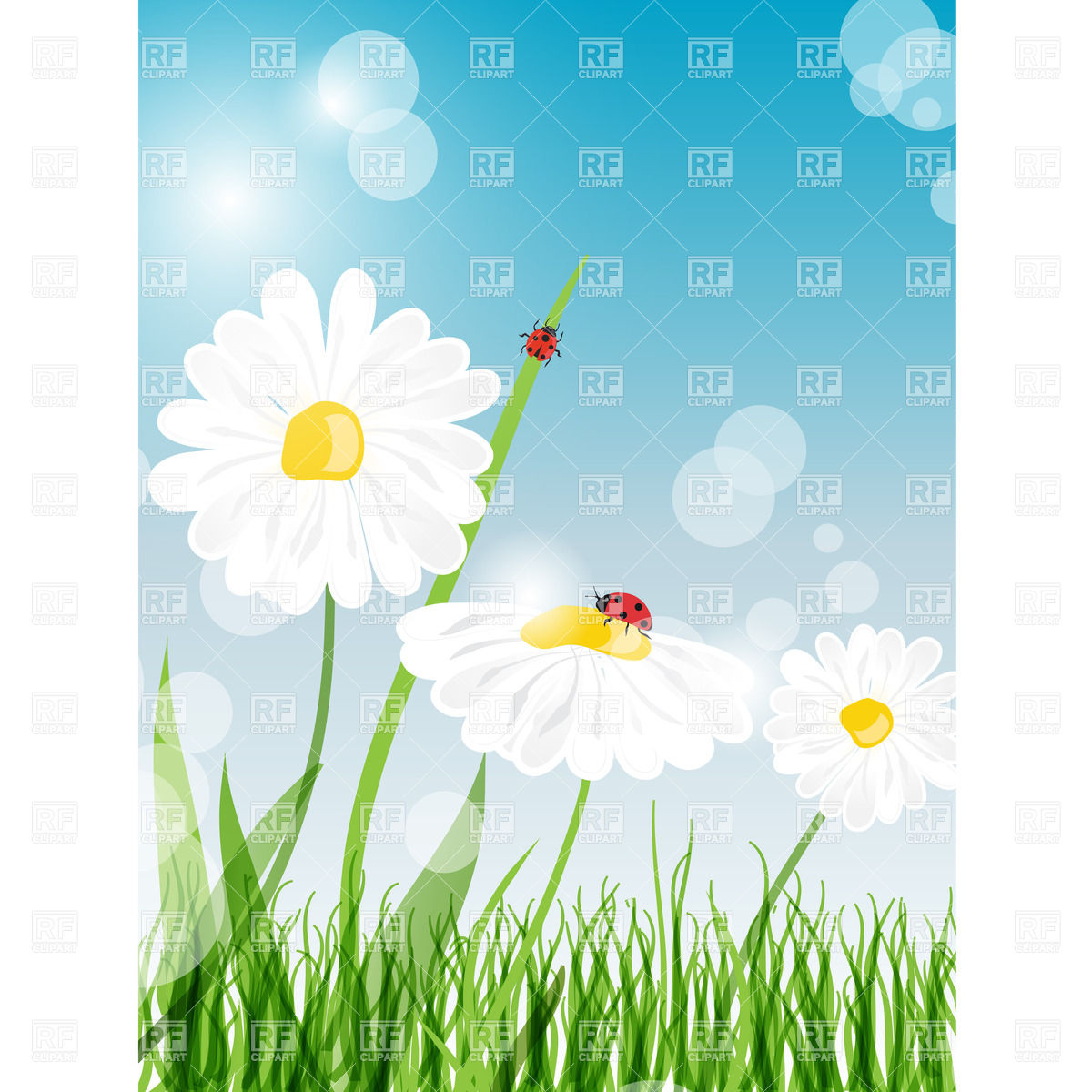 Beautiful Daisy Flower On Summer Meadow With Grass Vector Image 1200x1200 Beautiful Daisy Flower On Summer Meadow With Grass Vector Image