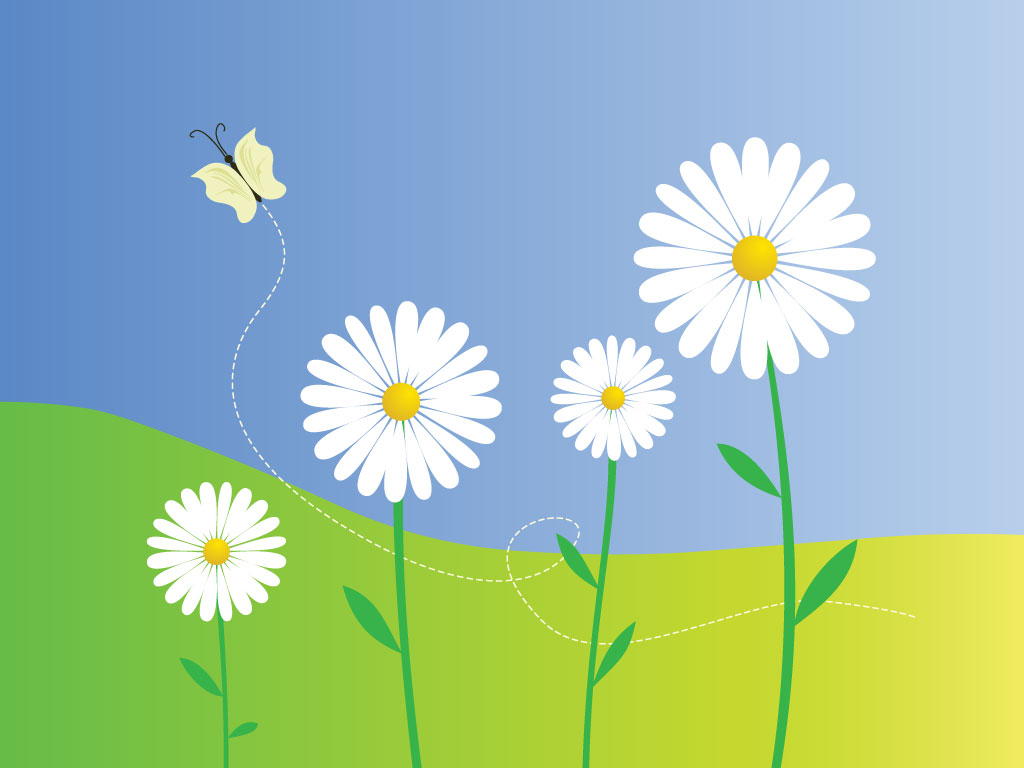 Daisy Flowers Vector 1024x768 Daisy Flowers Vector