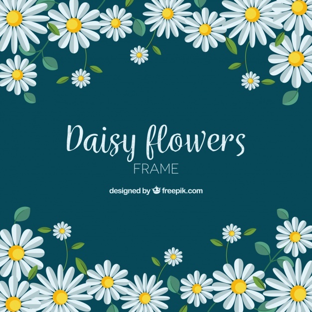 Daisy Vectors, Photos And Free Download 626x626 Daisy Vectors, Photos And Free Download