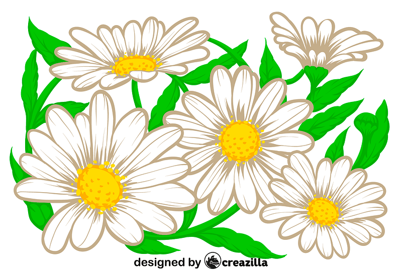 Daisy Flower Free Download Creazilla 800x552 Daisy Flower Free Download Creazilla