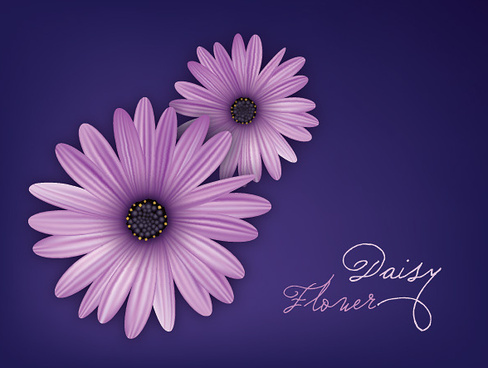 Vector Daisy Flowers Free Vector Download 488x368 Vector Daisy Flowers Free Vector Download