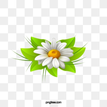 Daisy Flower Png, Vector, And Clipart With Transparent 360x360 Daisy Flower Png, Vector, And Clipart With Transparent