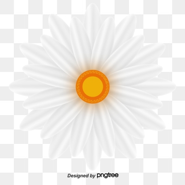 Daisy Vector Png, Vector, And Clipart With Transparent 360x360 Daisy Vector Png, Vector, And Clipart With Transparent