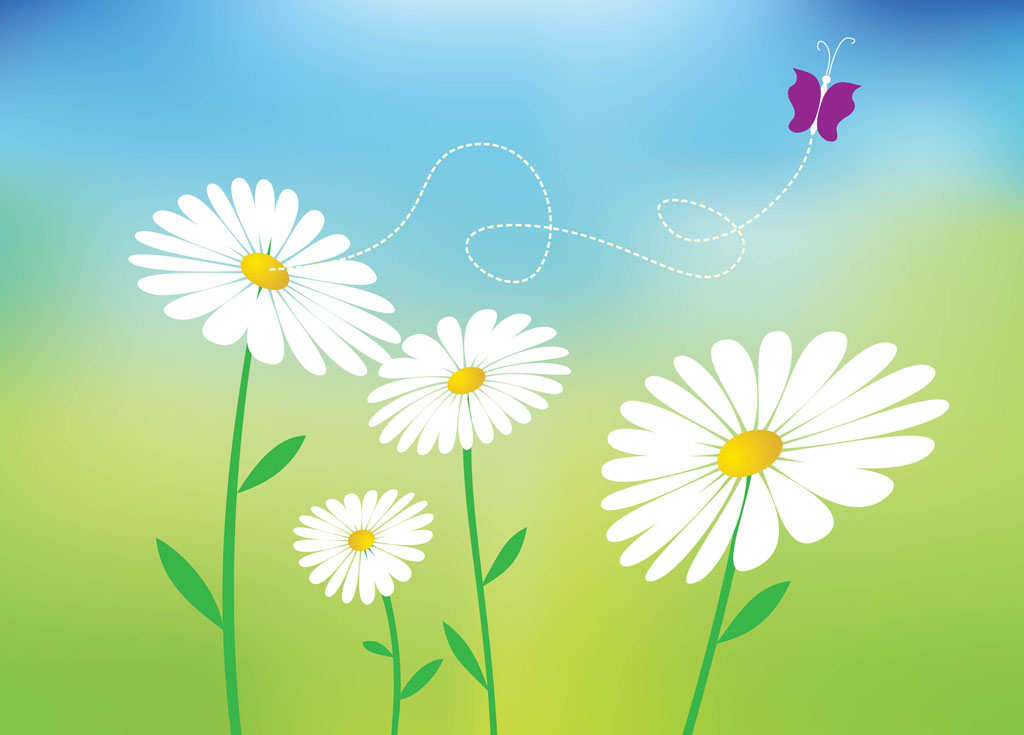 Daisy Vectors Vector Art Graphics 1024x735 Daisy Vectors Vector Art Graphics