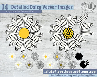 Daisy Vector Etsy 340x270 Daisy Vector Etsy
