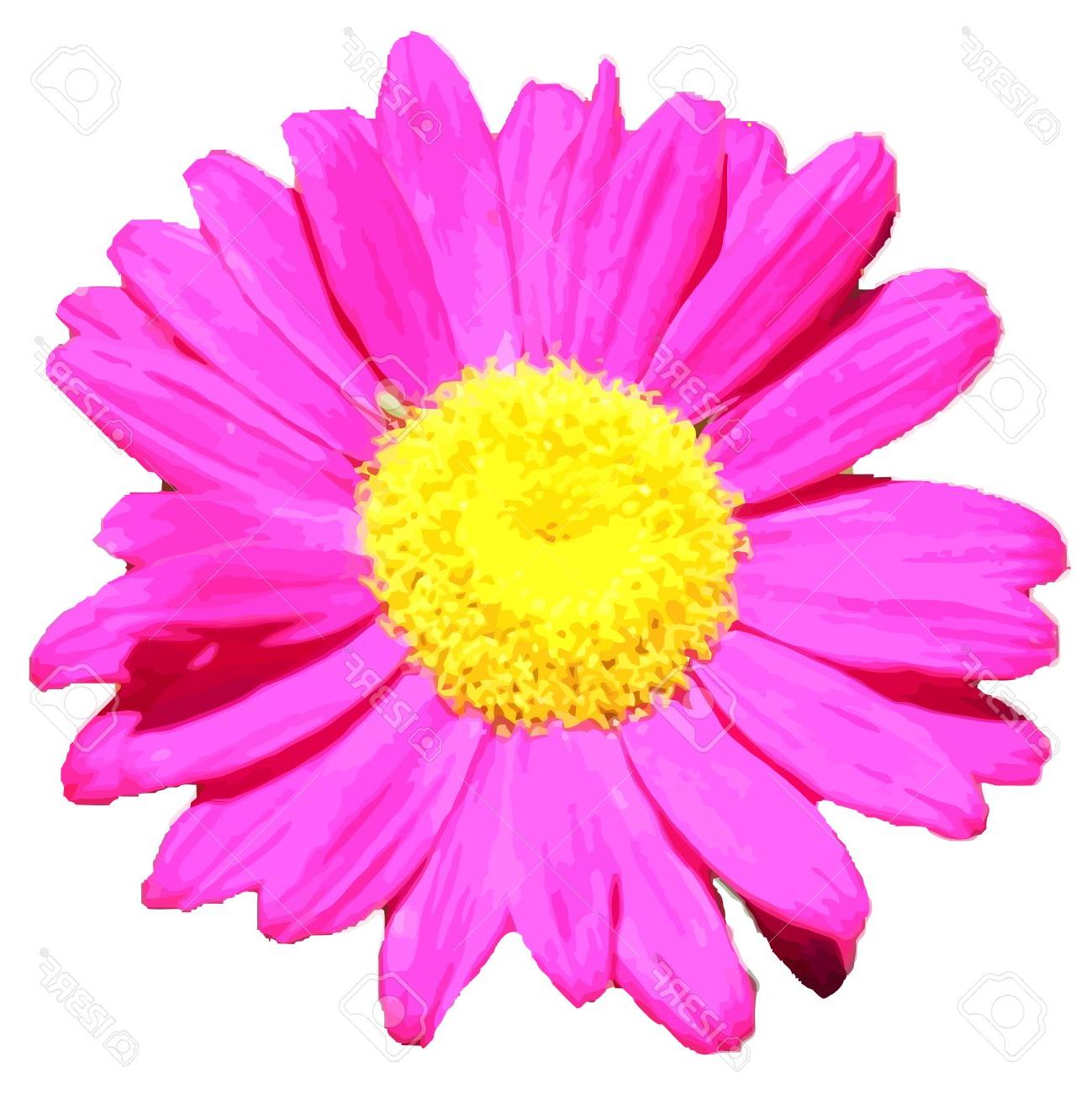 Best Free Transparent Daisy Vector Design Free Vector Art 1299x1300 Best Free Transparent Daisy Vector Design Free Vector Art