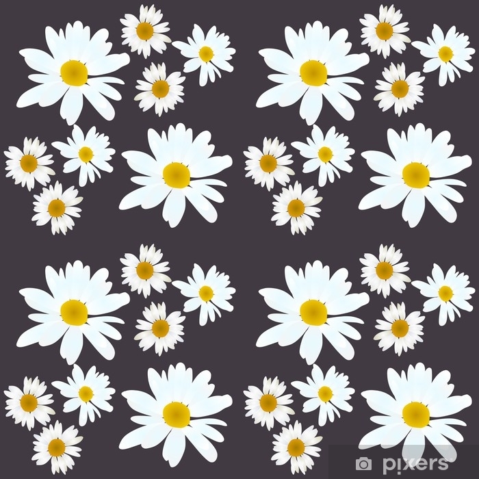 Daisy Vector Pattern Beautiful Flowers On Black Background Wall 700x700 Daisy Vector Pattern Beautiful Flowers On Black Background Wall