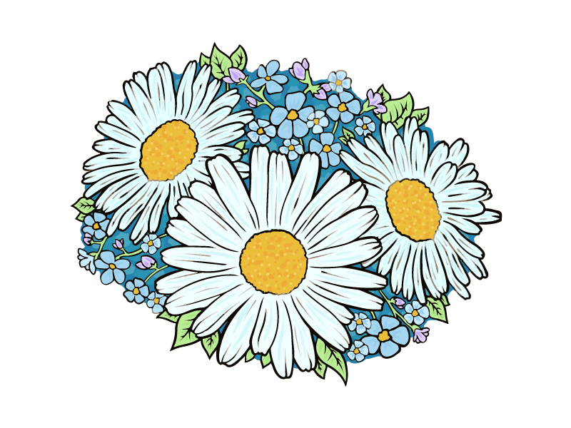 Daisy Vector Illustration 800x600 Daisy Vector Illustration