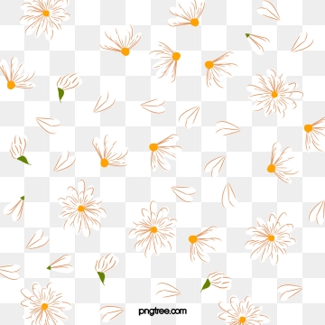 Daisy Png, Vector, And Clipart With Transparent Background 360x360 Daisy Png, Vector, And Clipart With Transparent Background