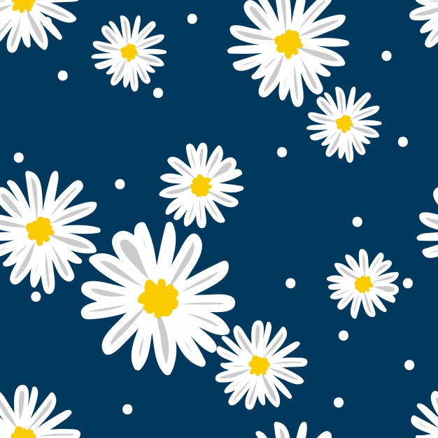 Daisy Vector Vectors, Photos And Free Download 626x626 Daisy Vector Vectors, Photos And Free Download