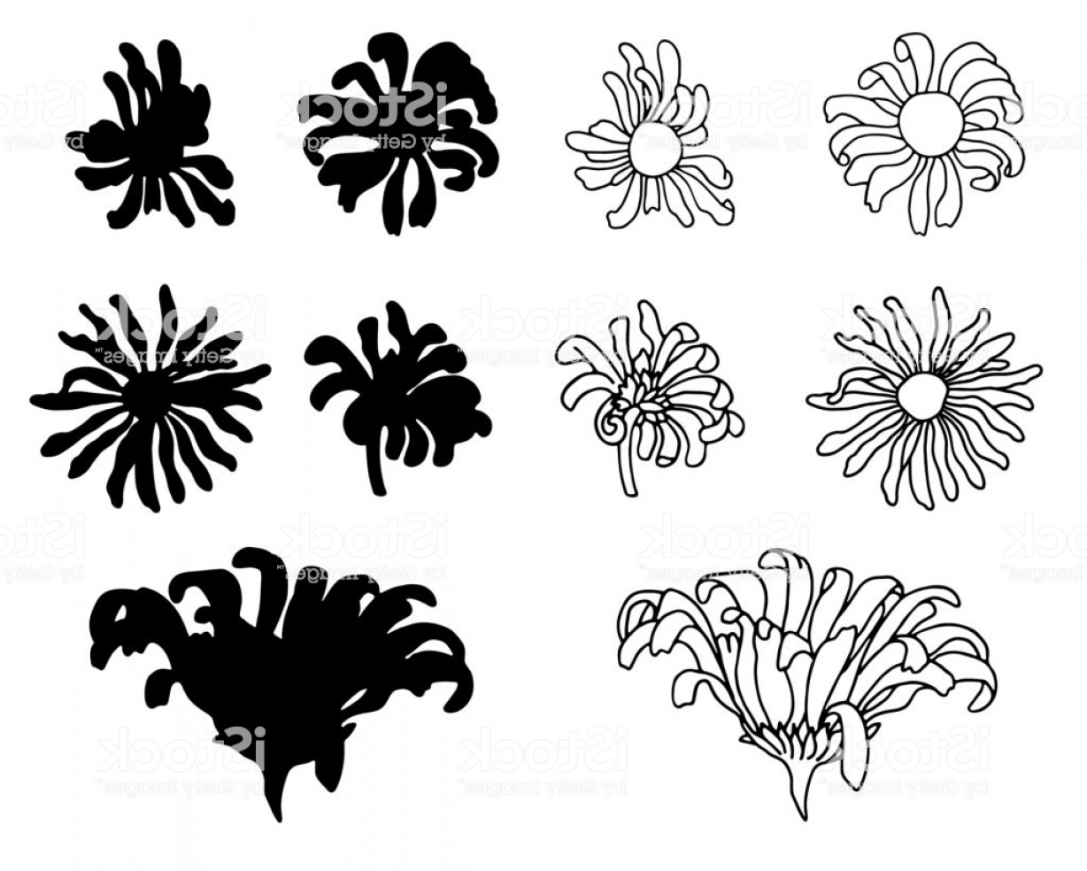 Flower Daisey Black Vector Art Catchsplace 1228x984 Flower Daisey Black Vector Art Catchsplace
