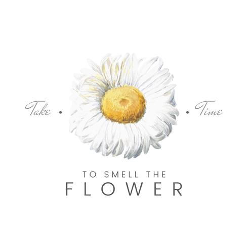 Mountain Daisy Quote 490x490 Mountain Daisy Quote