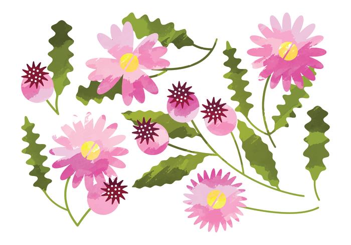 Vector Watercolor Daisy Flower Elements 700x490 Vector Watercolor Daisy Flower Elements