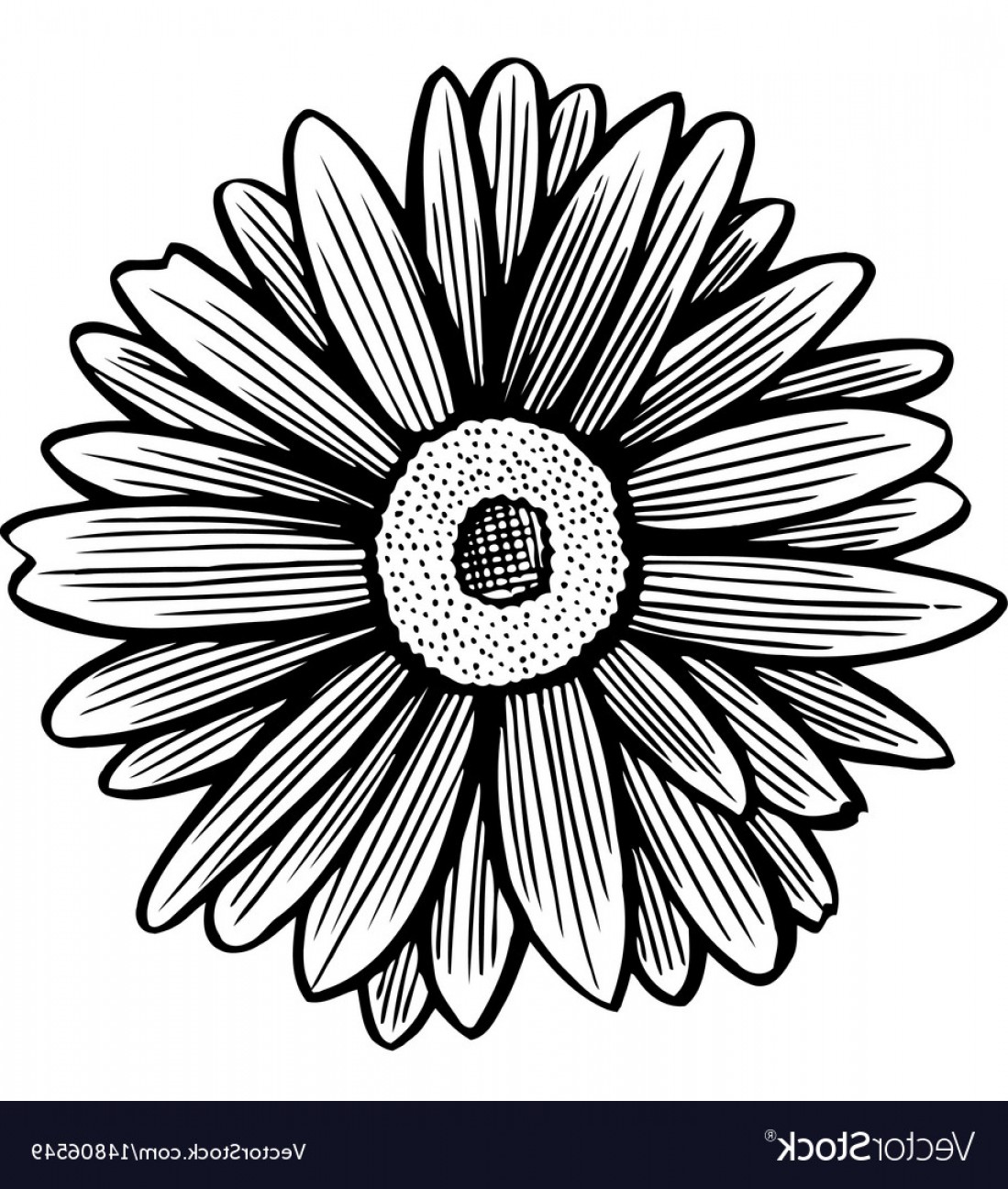 Black And White Daisy Flower Vector Soidergi 1099x1296 Black And White Daisy Flower Vector Soidergi