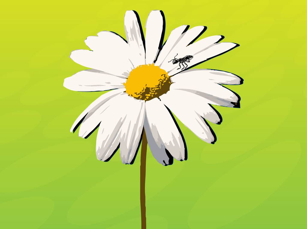 1024x765 Daisy Vector Art Graphics
