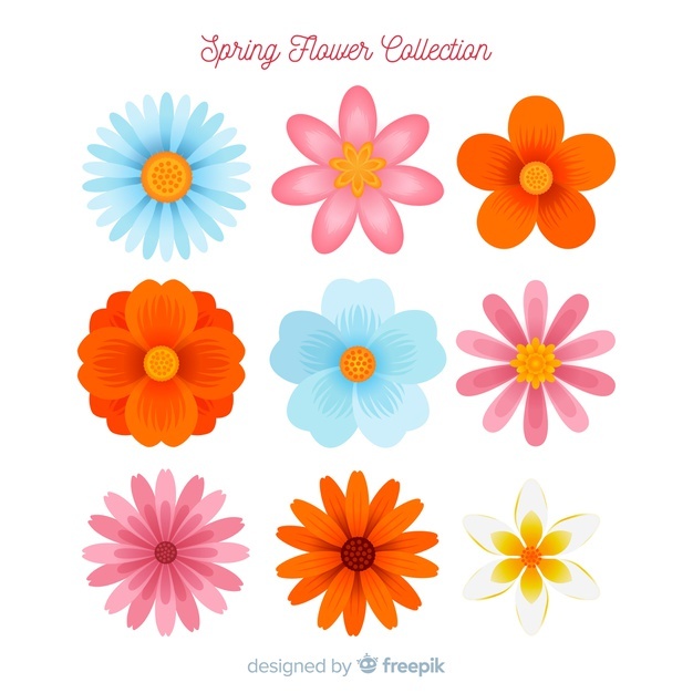 626x626 Daisy Vectors, Photos And Free Download