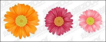 353x142 Daisy Vector Vector, Free Vector Graphics